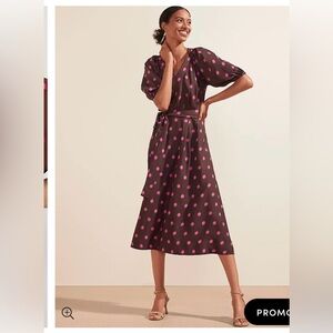 Ann Taylor Dotted Puff Sleeve Belted Flare Dress in Brown Stone Size 4